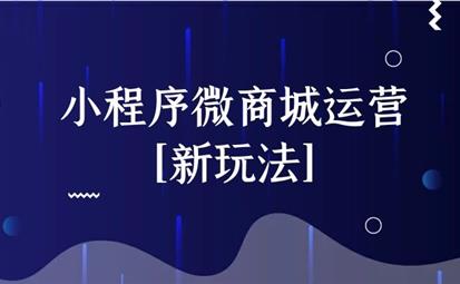 小程序微商城運(yùn)營(yíng)[新玩法]_網(wǎng)站建設(shè)思樂(lè)科技